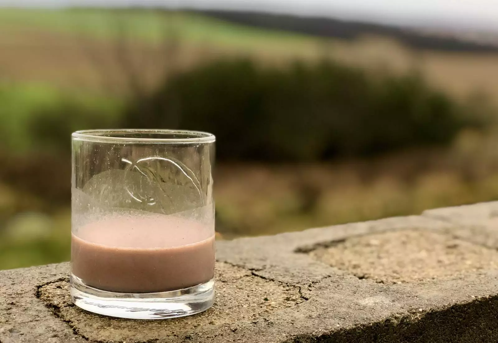 Nealkoholické domácí Baileys