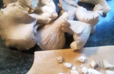 Vepřové plátky na hlívě ústřičné
