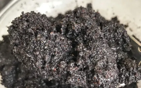 Mezitím si připravíme náplně. Do jedné misky dáme mletý mák, do druhé mleté vlašské ořechy (se skořicí). 
Smetanu ohříváme v kastrůlku. Až se začne vařit, vypneme a polovinu smetany nalijeme k máku a polovinu k ořechům. 
Obě směsi promícháme.
