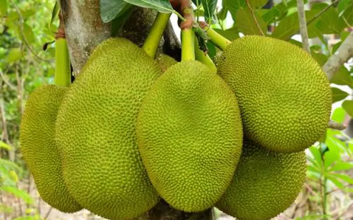Pikantní veggie jackfruit guláš