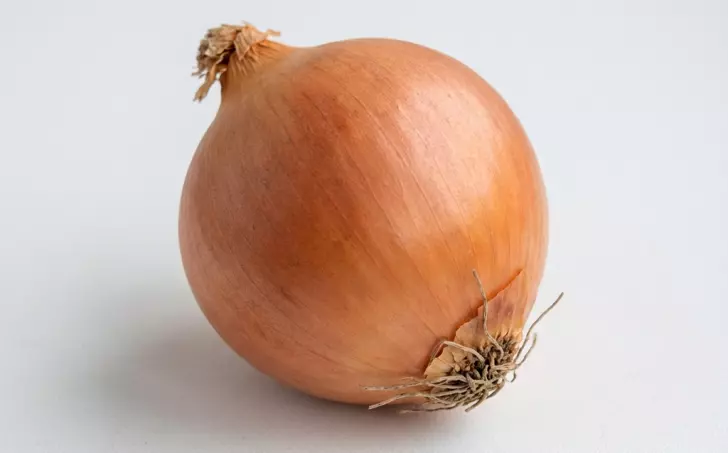 Cibule