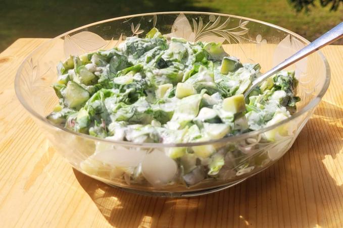 HLÁVKOVÝ SALÁT S OKURKOU