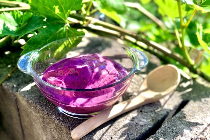 Borůvkovo-citrónová tvarohová zmrzlina