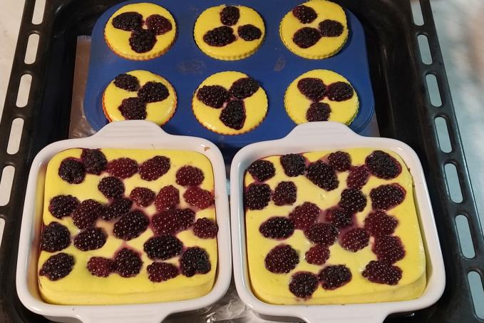 Pečený tvaroh - LC