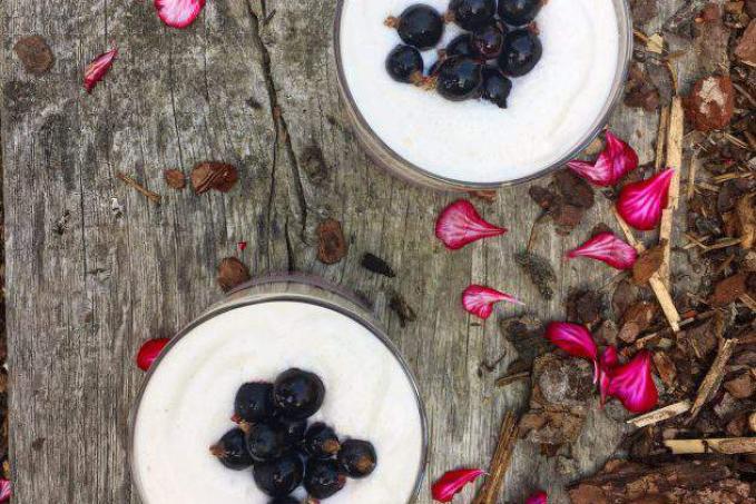 Pudink z Černého Rybízu a Lněného Semínka