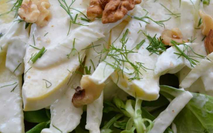 Fenyklový salát s dresinkem z kozího sýra