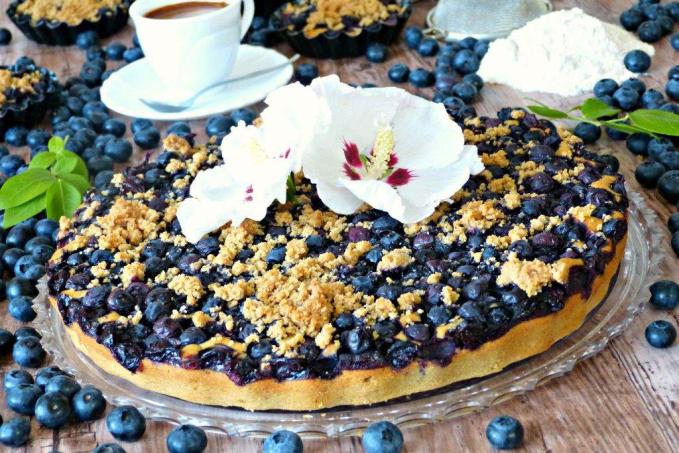 Šmakounův cizrnový koláč s borůvkami