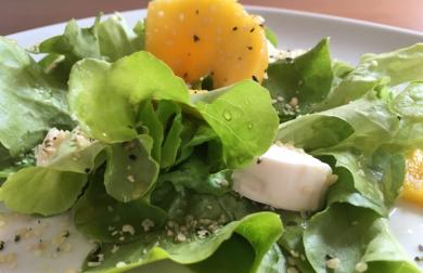 Jarní salát s mangem a citrónovým dresinkem