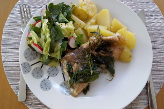 Kapr na bylinkách s míchaným salátkem