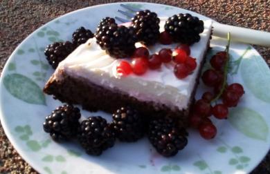 KOLÁČ Z ČERVENÉ ŘEPY - LC