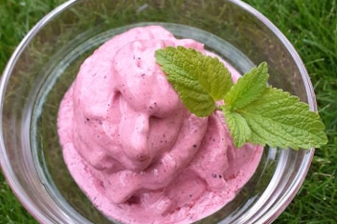 Ovocná zmrzlina - LC