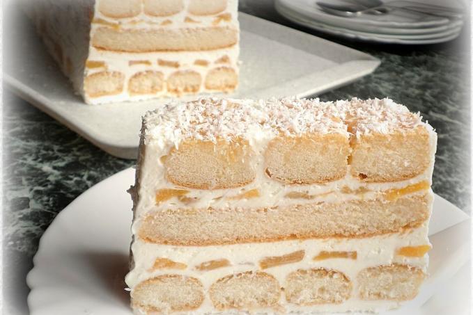 NEPEČENÝ PIŠKOTOVÝ TUNEL S BROSKVEMI