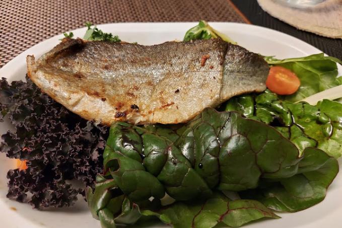 Filet ze pstruha na listovém salátu