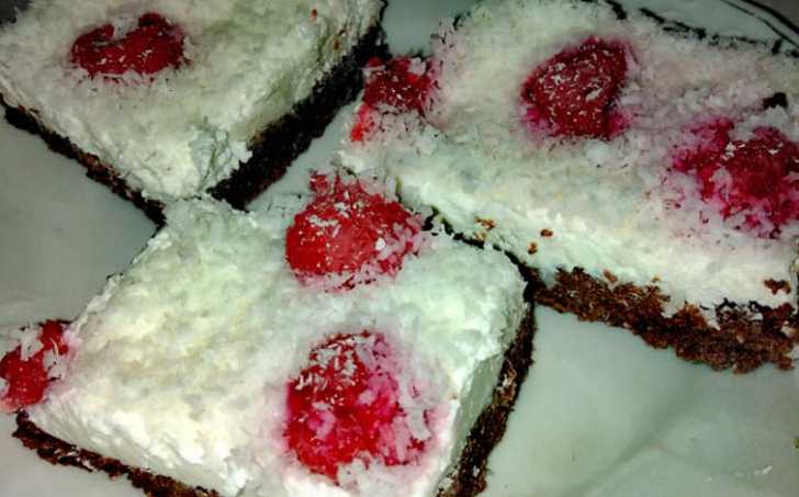 Kakaové tvarohové řezy s kokosem a malinami - LC