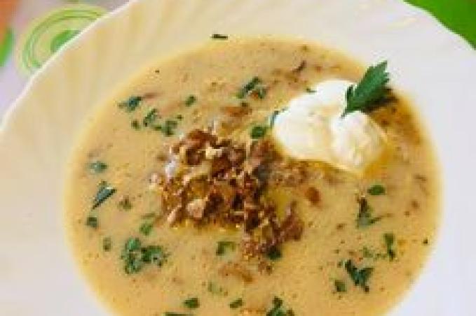 Výborná polévka z lišek