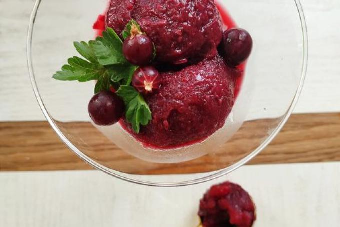 Angreštový sorbet - LC
