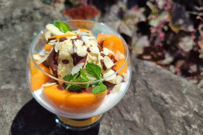 Pohár s meruňkovou zmrzlinou