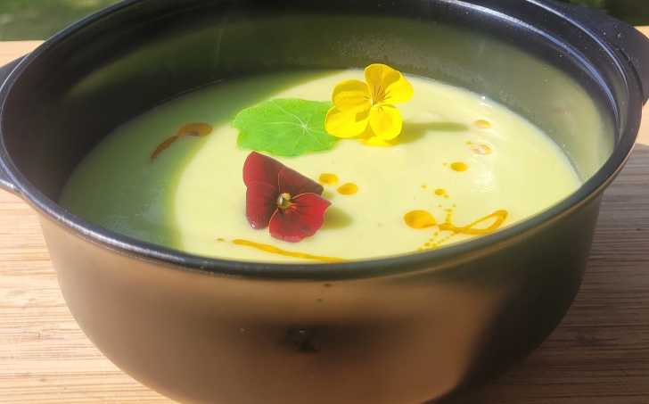 Avokádová polévka