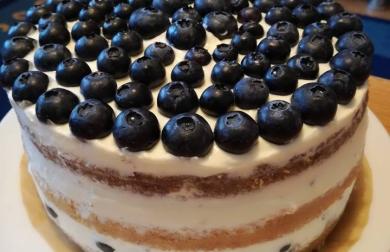 Nahý dort s borůvkami - low carb