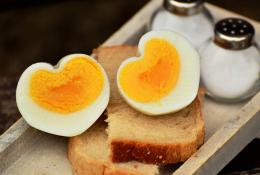 Vejce, vajíčka a jak se v nich vyznat