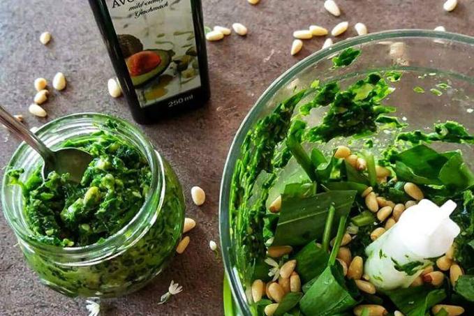 Pesto z medvědího česneku