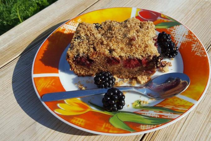 Ostružinový koláč s ořechovo špaldovou drobenkou