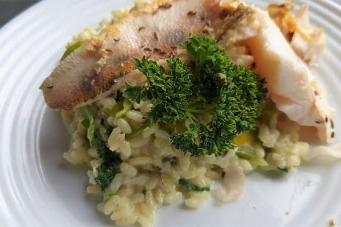 Filet z candáta s nivovým rizotem