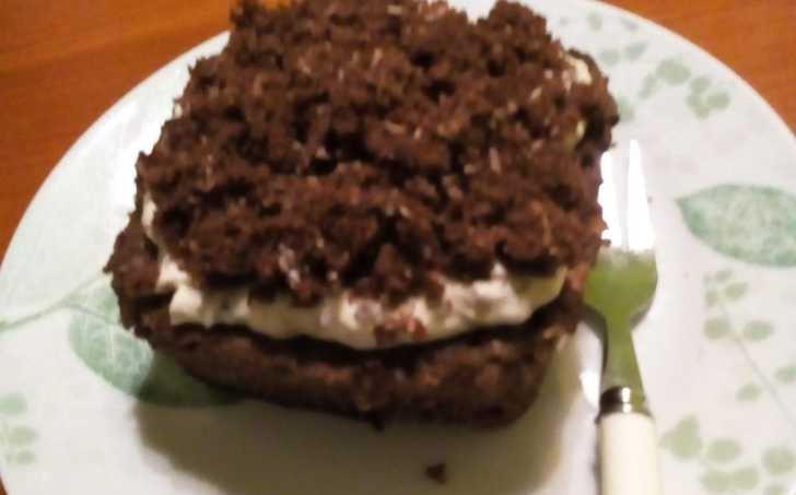 Mugcake Krteček - nízkosacharidový Krtkův dort