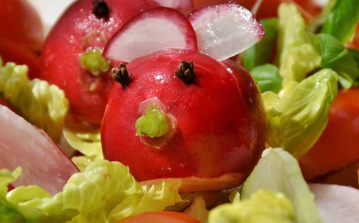 Zeleninový salát s krůtím masem