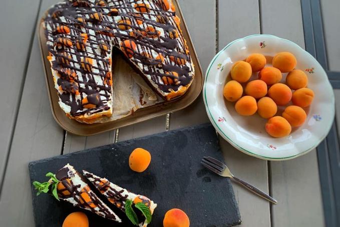 Tvarohový dortík na čokopiškotě s meruňkama