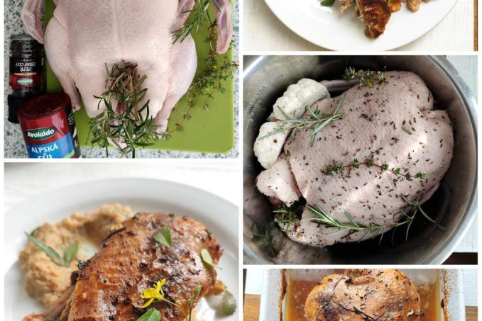 Kachna s květákovým pyré