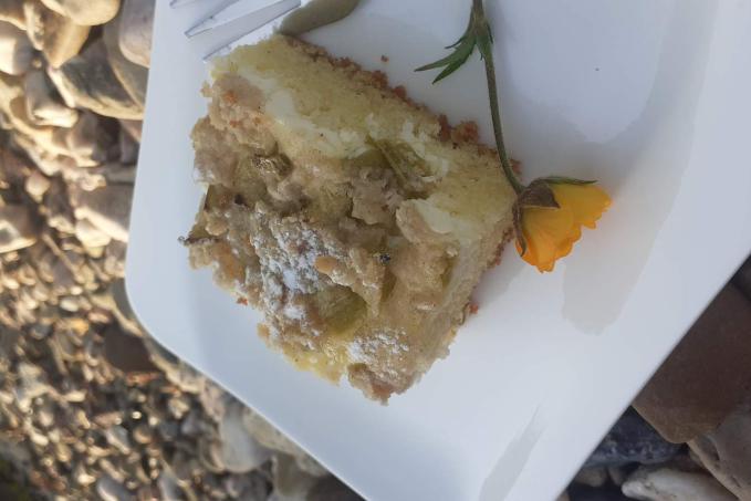 REBARBOROVÝ KOLÁČ S DROBENKOU