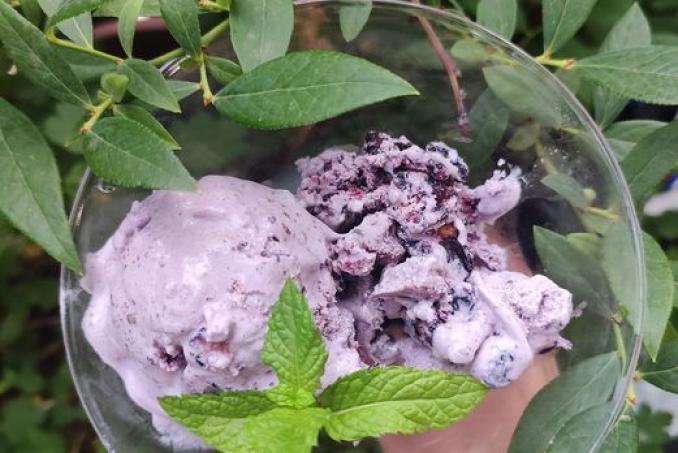 Borůvková zmrzlina - LC