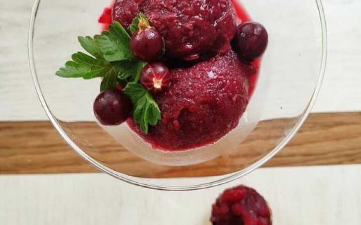 Angreštový sorbet - LC