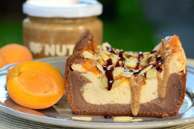 Chlebíček s kakaem, pudingovo-tvarohovou vrstvou a meruňkami