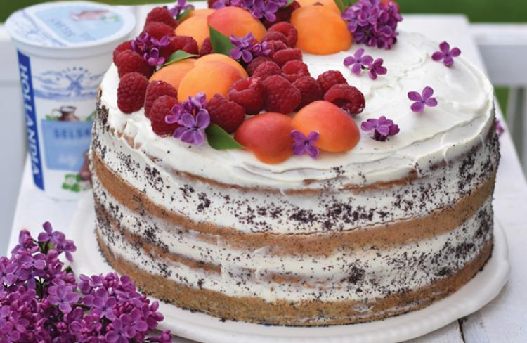 Makový dort s jogurtovým krémem ,malinami a meruňkami.