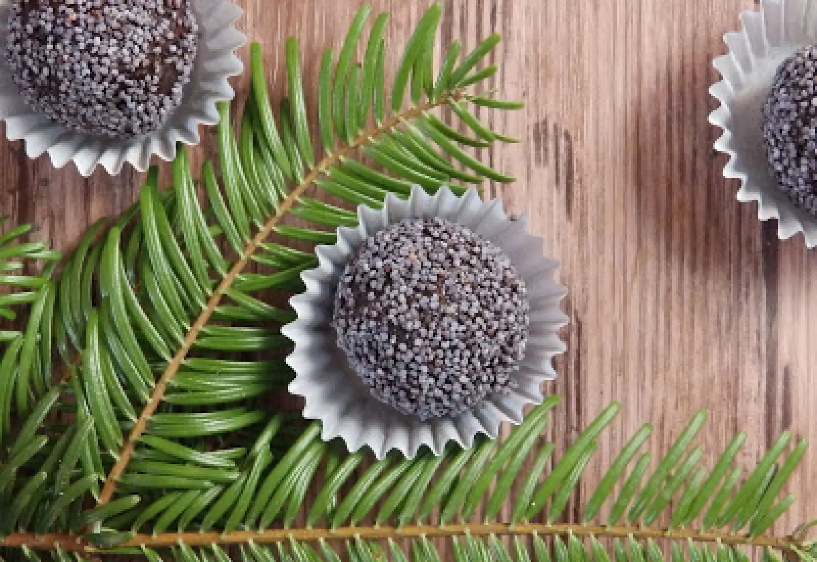 Švestkové kuličky s mákem